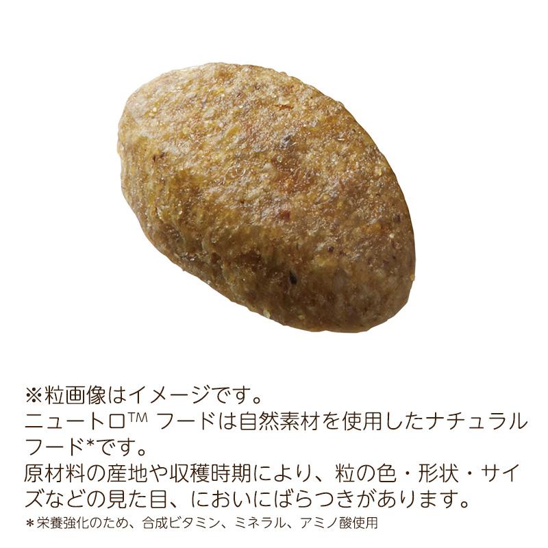 8袋セット ニュートロ ナチュラルチョイス キャット 室内猫用 アダルト チキン (成猫用) [2kg×8袋] 正規品 NC145｜nutro-galenus｜02