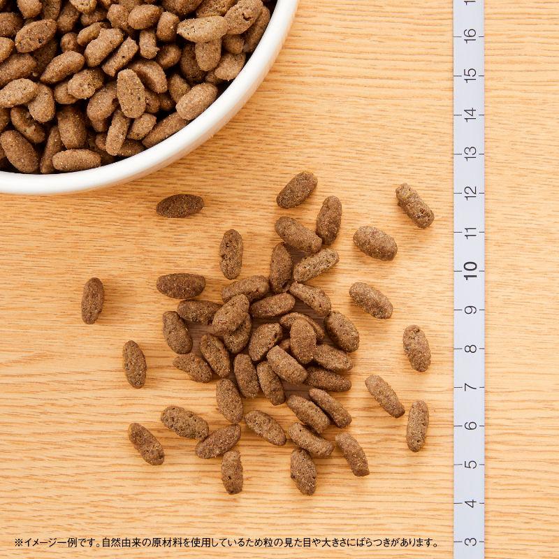 ナチュラルチョイス 8袋セット ニュートロ キャット 室内猫用 アダルト