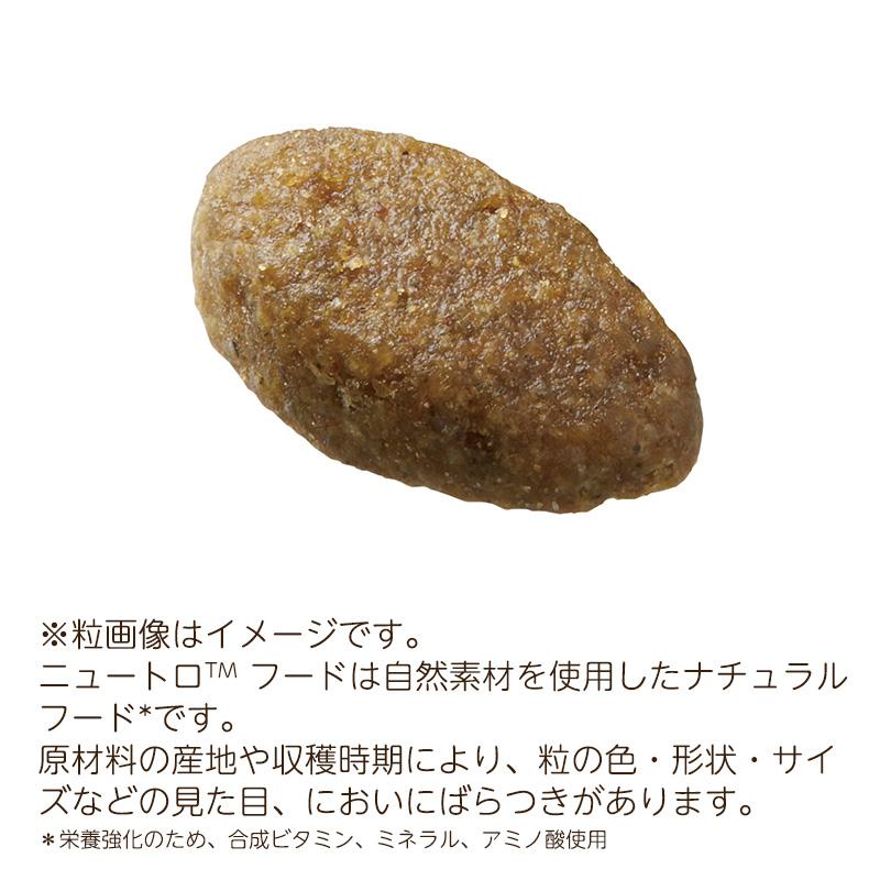 ニュートロ ナチュラルチョイス キャット 室内猫用 エイジングケア チキン [2kg] (シニア猫) 正規品 NC148｜nutro-galenus｜02