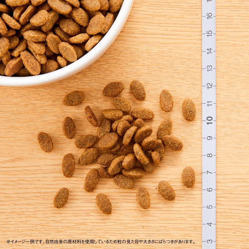 ナチュラルチョイス ニュートロ キャット アダルト ターキー (成猫用