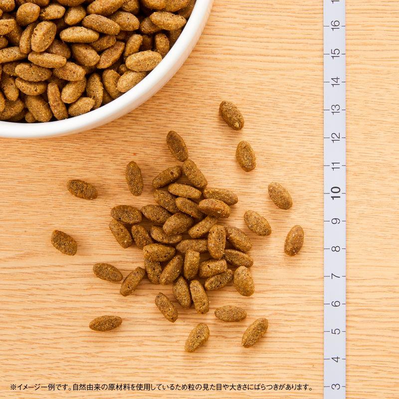 ナチュラルチョイス ニュートロ キャット 避妊・去勢猫用 アダルト