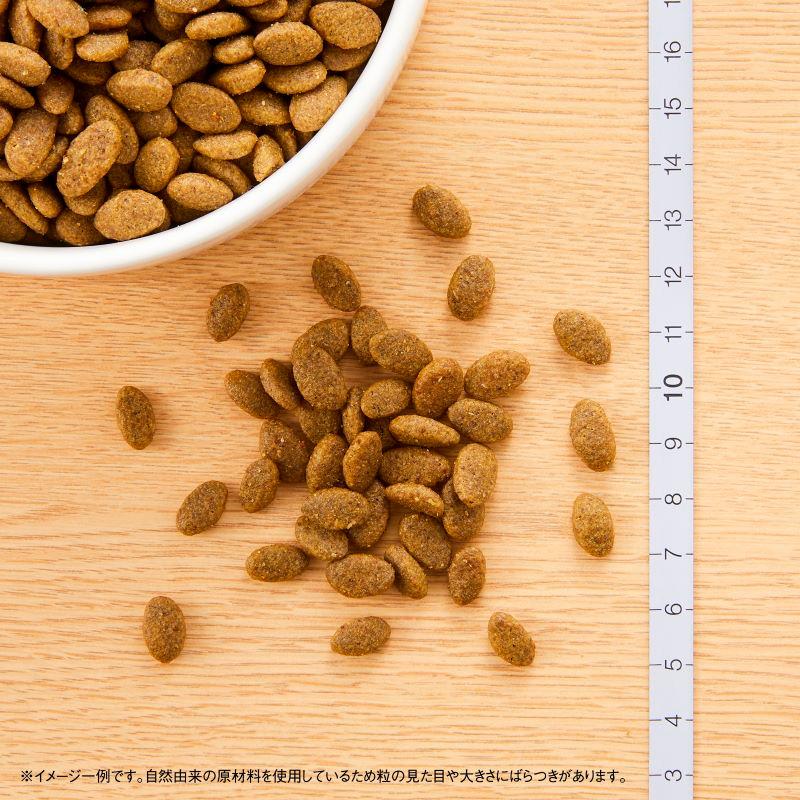 ナチュラルチョイス ニュートロ キャット 穀物フリー アダルト