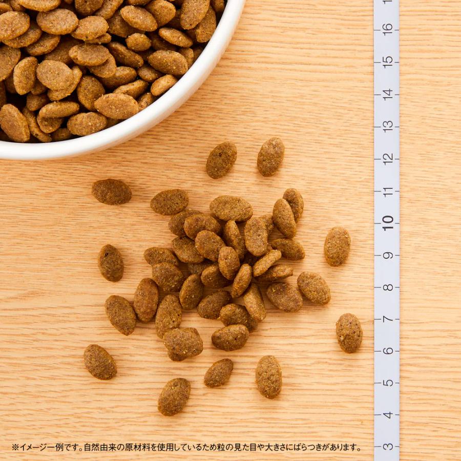 ナチュラルチョイス ニュートロ キャット 穀物フリー アダルト ダック