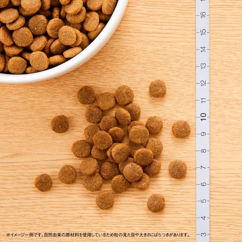 ナチュラルチョイス ニュートロ キャット 食にこだわる猫用 アダルト