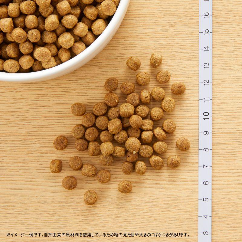 ナチュラルチョイス 2袋セット ニュートロ 超小型犬〜小型犬用 成犬用