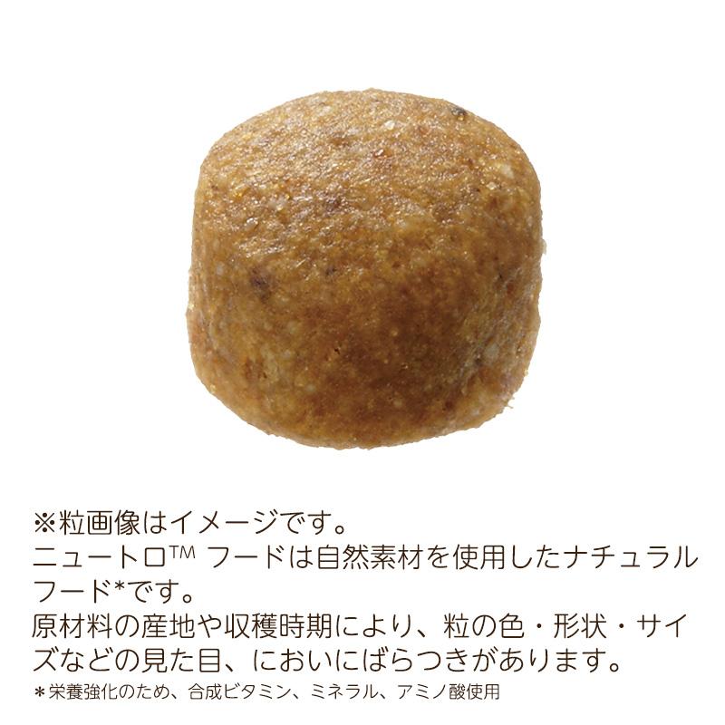 ニュートロナチュラルチョイス成犬ラム＆玄米　中型犬〜大型犬14kg ニュートロ ナチュラル チョイス 中型犬～大型犬用 成犬用 ラム