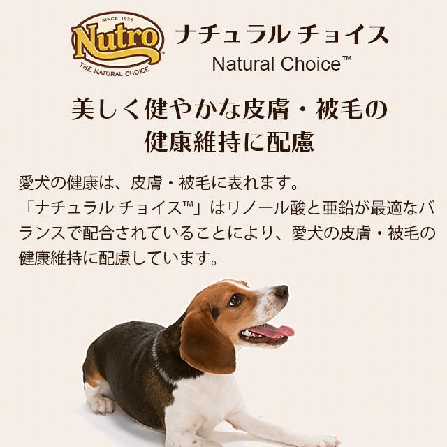 nutroナチュラル チョイスラム&玄米 中型犬~大型犬用成犬用7.5kg*2袋 ナチュラルチョイス 2袋セット ニュートロ 中型犬〜大型犬用 成