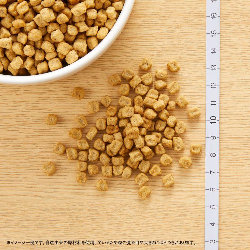 ナチュラルチョイス 2袋セット ニュートロ 避妊・去勢犬用 超小型