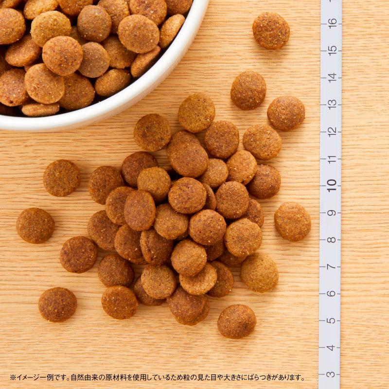 ナチュラルチョイス ニュートロ プレミアムチキン 子犬用 大型犬用
