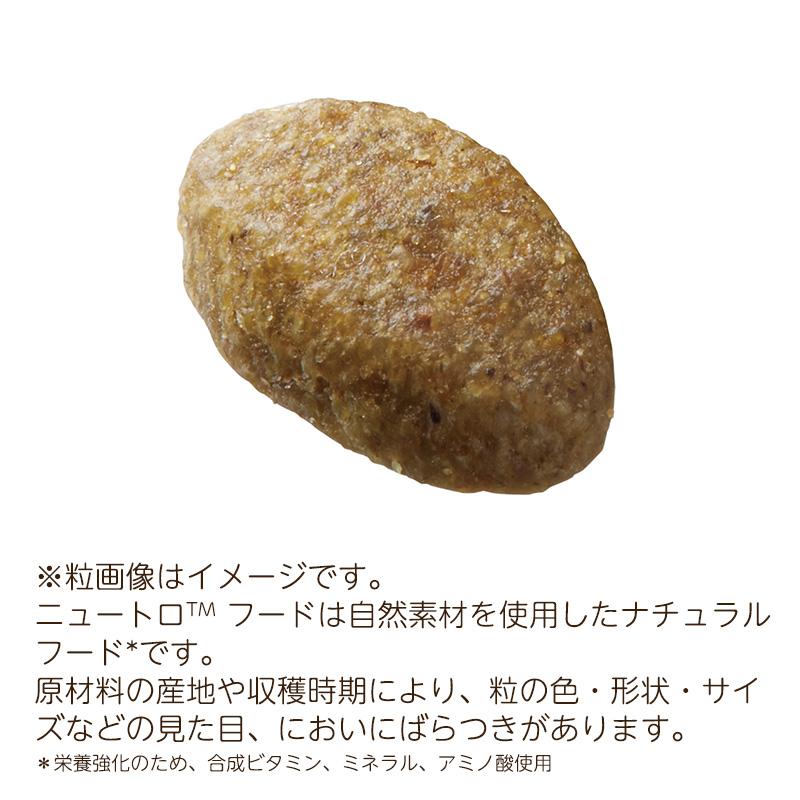 ナチュラルチョイス ニュートロ キャット 毛玉トータルケア