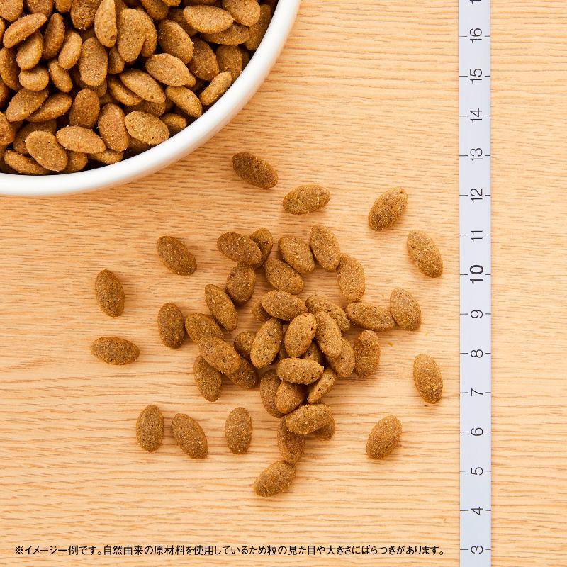 ナチュラルチョイス ニュートロ キャット 毛玉トータルケア アダルト