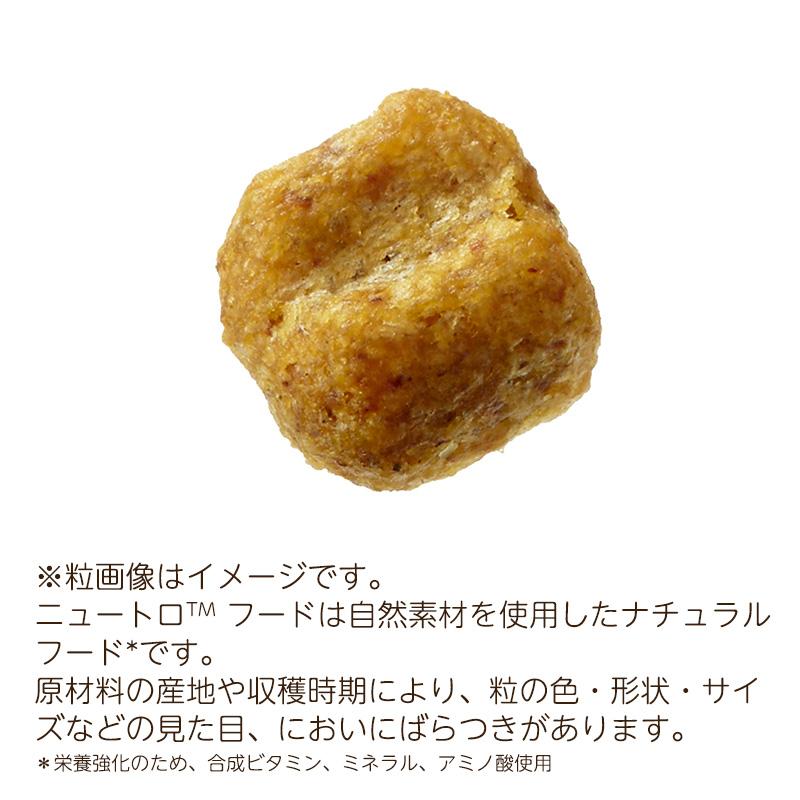 ナチュラルチョイス ニュートロ 減量用 超小型〜小型犬 成犬用 ナチュラルチョイス ニュートロ 減量用 超小型〜小型犬 成犬用