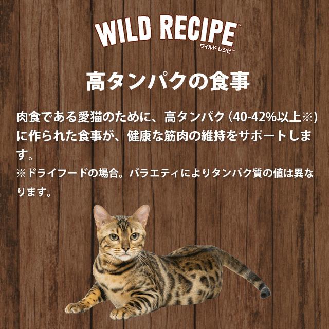 ニュートロ キャット ワイルドレシピ アダルトチキン 成猫用 [2kg] 正規品 NW216｜nutro-galenus｜04