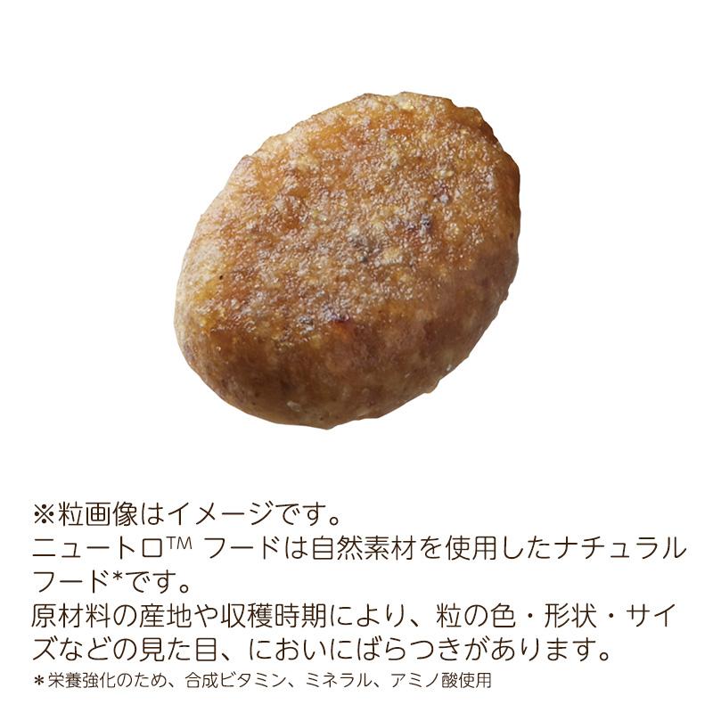 ニュートロ ワイルドレシピ 子猫チキン キトン　2キロ　2袋　計4キロ ニュートロ ワイルドレシピ 子猫用 キトン チキン 2kg | P2