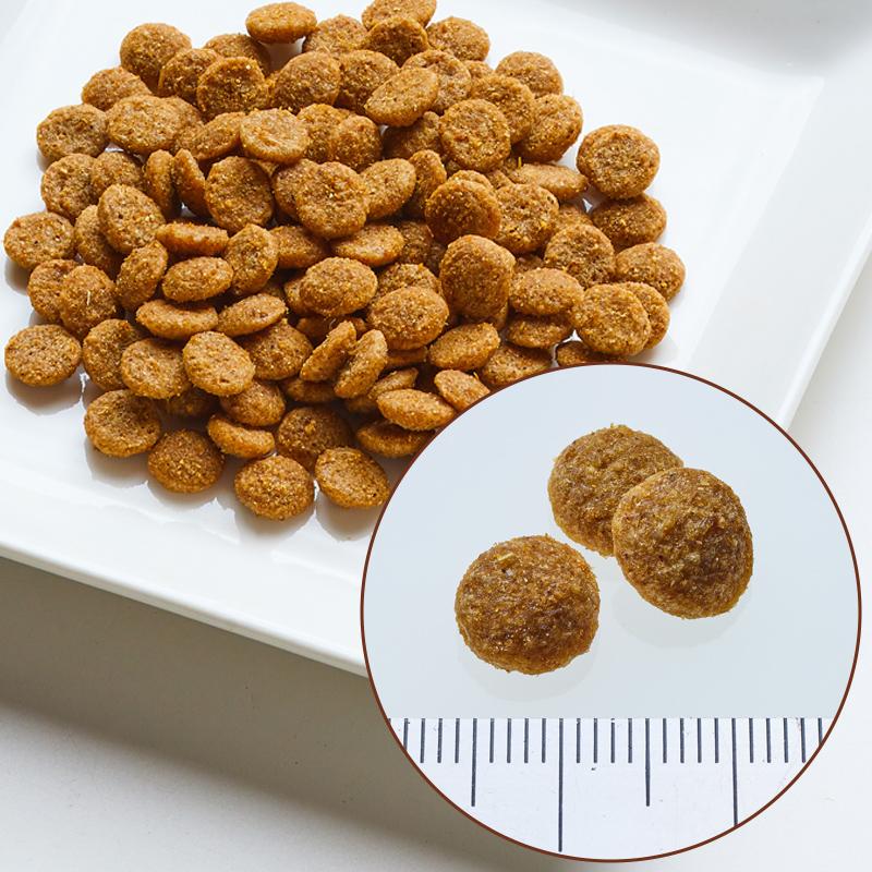 シュプレモ ニュートロ 成猫用 サーモン＆チキン 2kg NS509 正規品