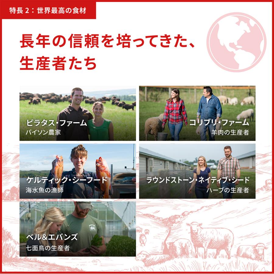 ORIJEN（オリジン） (メーカー欠品中) レジオナルレッドドッグ 6kg 全