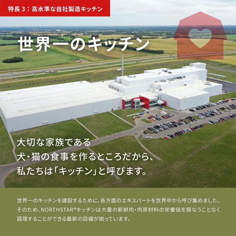 ORIJEN（オリジン） (メーカー欠品中) レジオナルレッドドッグ 6kg 全