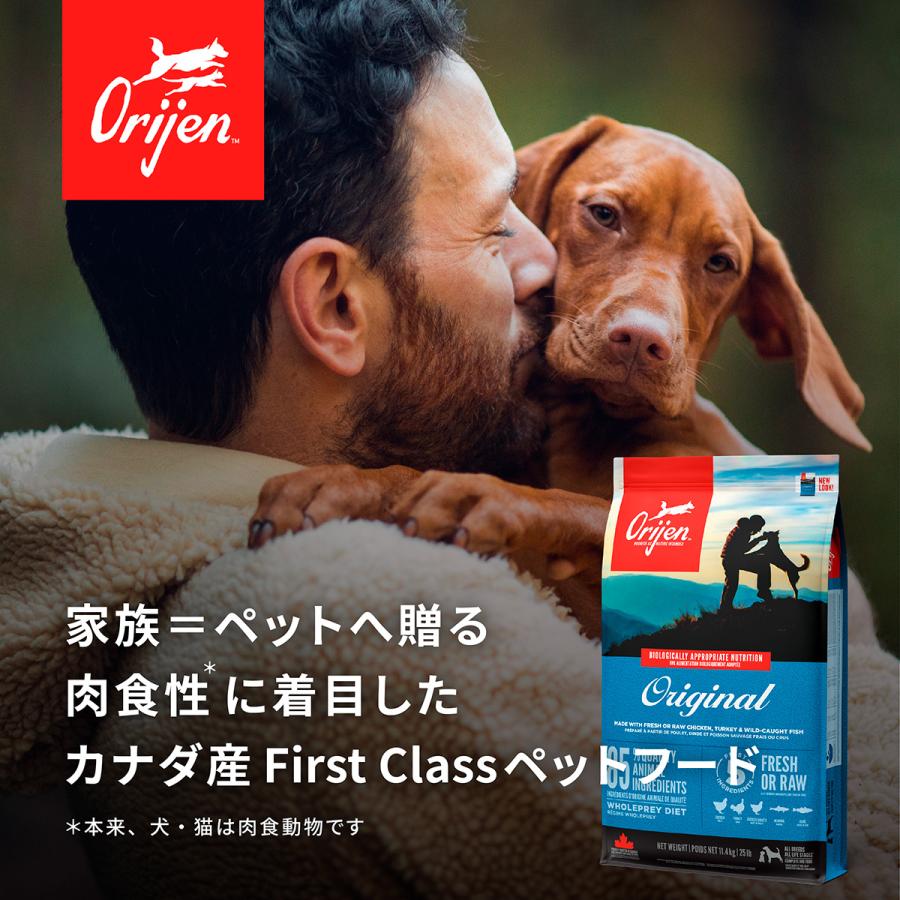 ORIJEN（オリジン） シニア 6kg シニア犬用 全犬種用 (お取り寄せ/5