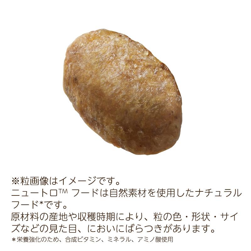 ニュートロ ナチュラルチョイス キャット 室内猫用 キトン チキン ニュートロ ナチュラルチョイス キャット 室内猫用 キトン チキン