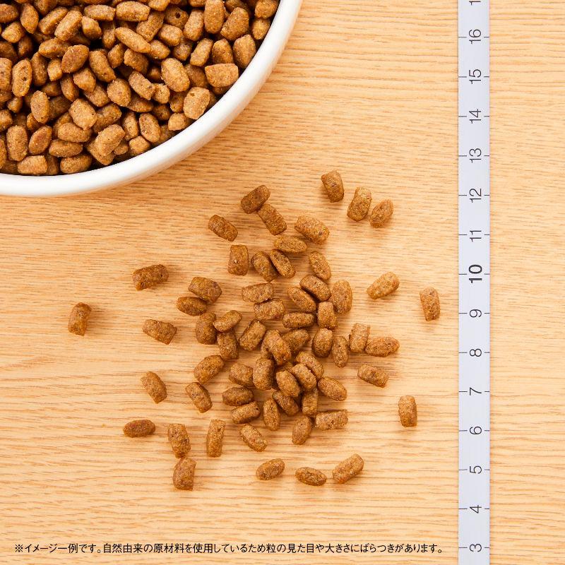 8袋セット ニュートロ ナチュラルチョイス キャット 室内で暮らす子猫用 チキン (子猫用) [2kg×8袋] 正規品 NC142の画像
