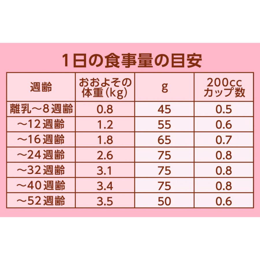 8袋セット ニュートロ ナチュラルチョイス キャット 室内で暮らす子猫用 チキン (子猫用) [2kg×8袋] 正規品 NC142の画像