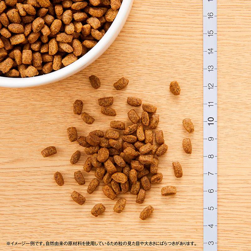 ニュートロ シュプレモ 超小型犬4kg以下用 成犬用 [４kg] (小粒) 正規品 NS136 | シュプレモ | 01