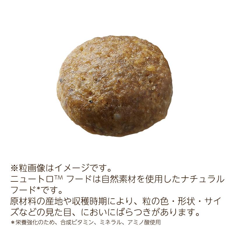 ニュートロ キャット ワイルドレシピ アダルト サーモン 成猫用 ニュートロ キャット ワイルドレシピ アダルト サーモン 成猫用