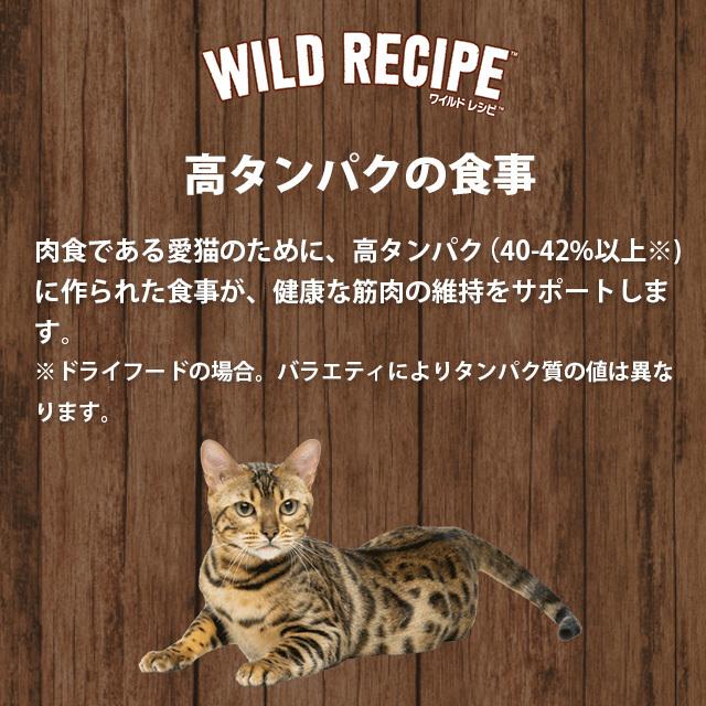ニュートロ キャット ワイルドレシピ アダルト サーモン 成猫用 [2kg] 正規品 NW220