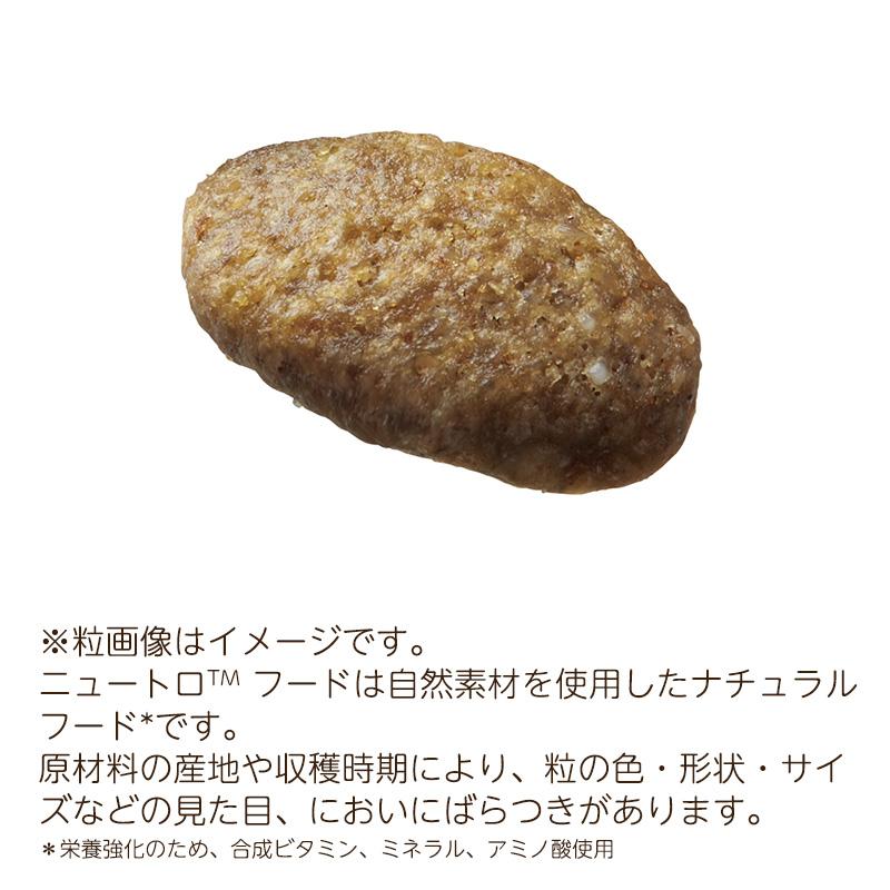 ナチュラルチョイス ニュートロ キャット 穀物フリー アダルト
