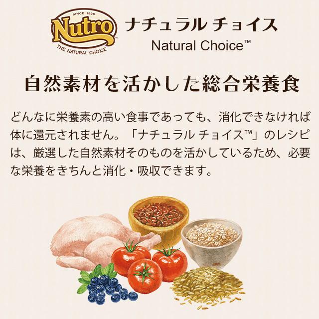 ナチュラルチョイス ニュートロ キャット 穀物フリー アダルト チキン