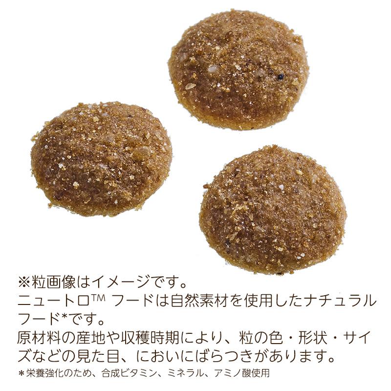 シュプレモ (10袋セット) ニュートロ 成猫用 白身魚＆チキン (400g×10