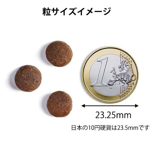 アンブロシア HMN サーディン＆ツナ 100g 成犬用 全犬種用 ドッグフード (2袋までクロネコゆうパケット発送可)｜nutro-galenus｜06