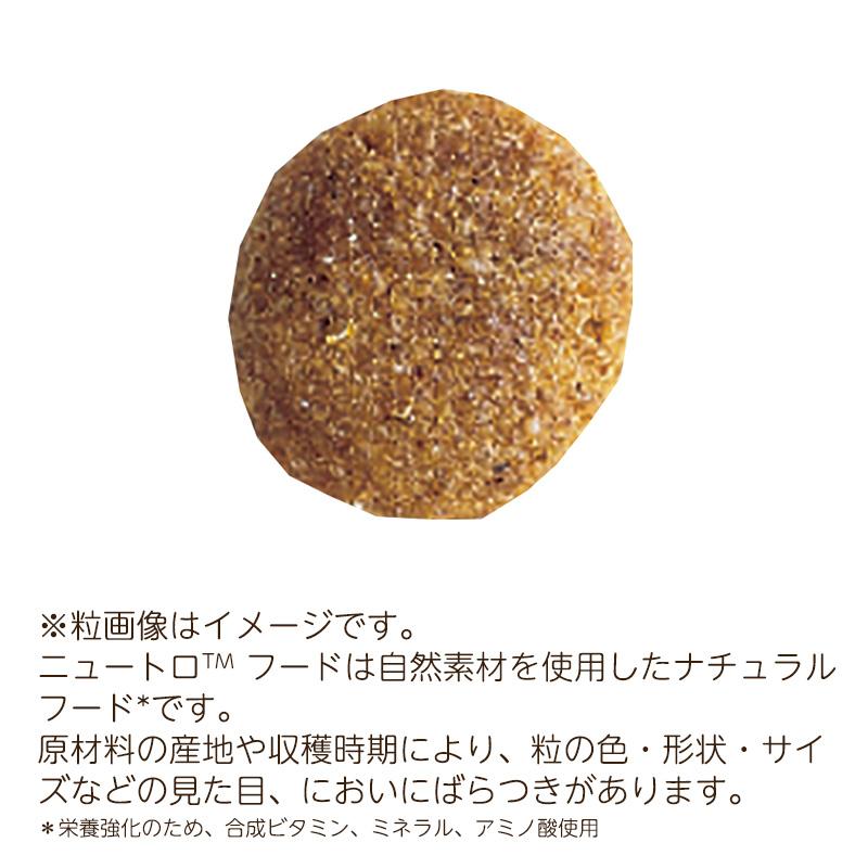 ナチュラルチョイス ニュートロ プレミアムチキン 子犬用 大型犬 ナチュラルチョイス ニュートロ プレミアムチキン 子犬用 大型犬