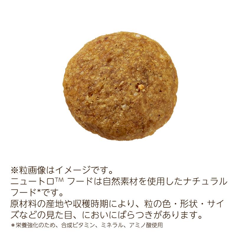 ナチュラルチョイス ニュートロ プレミアムチキン 中型犬〜大型 ナチュラルチョイス ニュートロ プレミアムチキン 中型犬〜大型