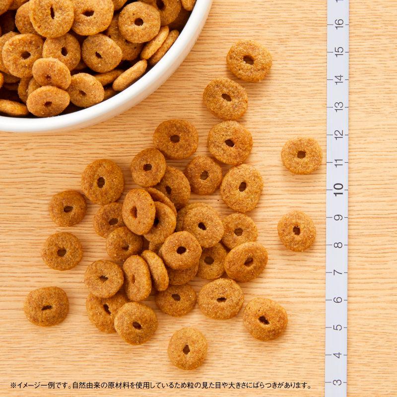 ナチュラルチョイス ニュートロ 中型犬〜大型犬用 エイジングケア