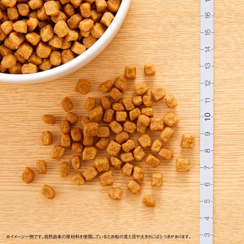 ナチュラルチョイス ニュートロ プレミアムチキン 小型犬用 成犬用