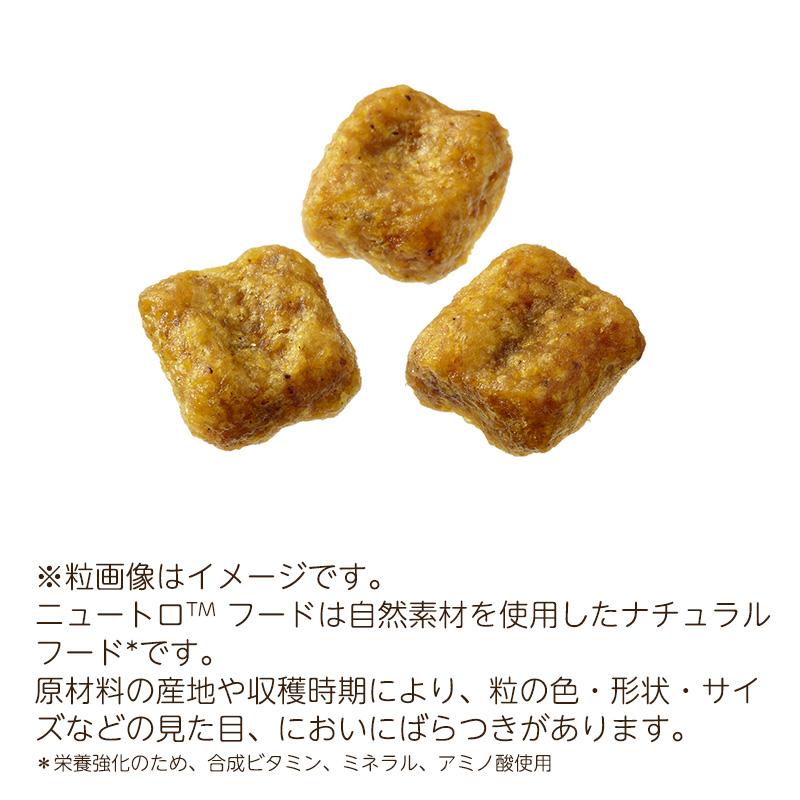 ナチュラルチョイス ニュートロ プレミアムチキン 小型犬用