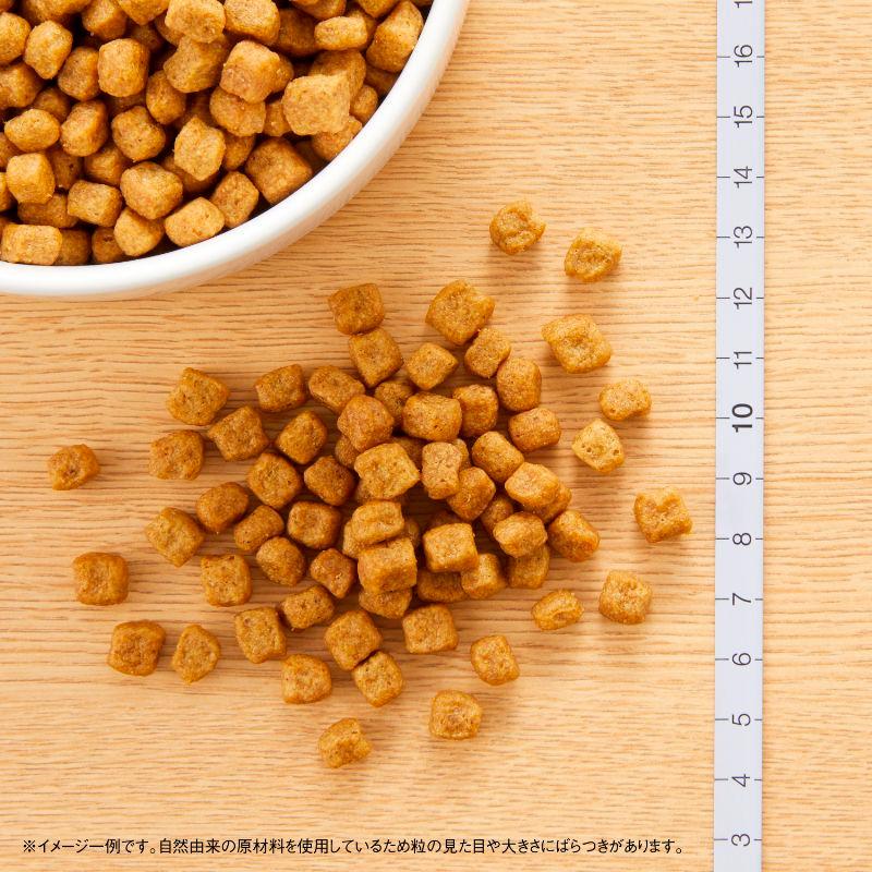ナチュラルチョイス ニュートロ プレミアムチキン 小型犬用 エイジング