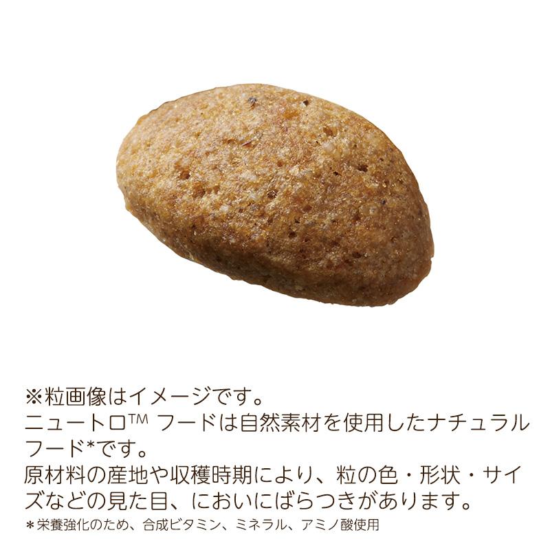 シュプレモ ニュートロ 全犬種用 成犬用 [4kg] 正規品 NS120 : ペット