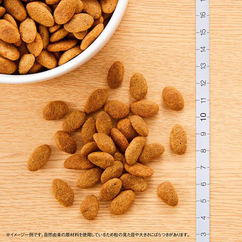 ニュートロ シュプレモ 全犬種用 成犬用 [４kg] 正規品 NS120 | シュプレモ | 01