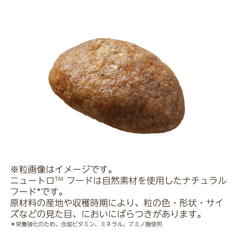 シュプレモ ニュートロ 小型犬用 成犬用 (小粒) [3kg] 正規品 NS108