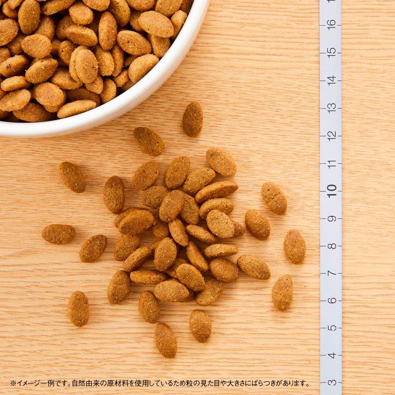 シュプレモ ニュートロ 小型犬用 成犬用 (小粒) [3kg] 正規品 NS108