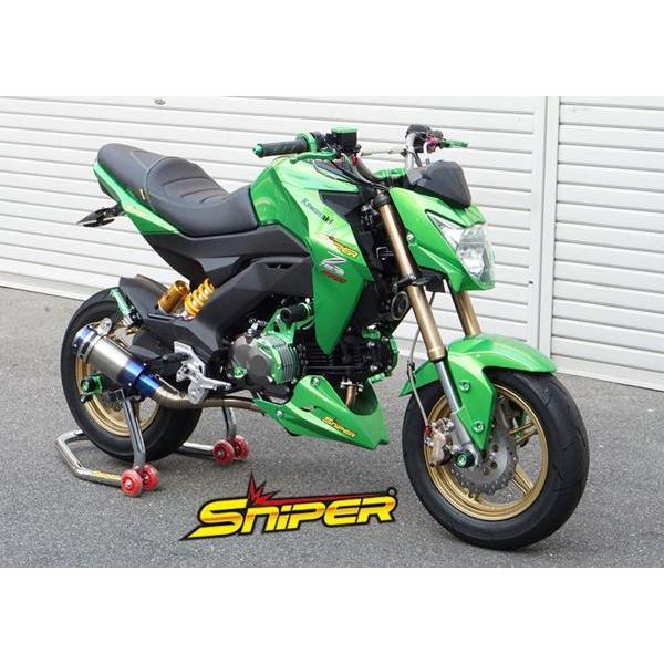 専用 2つ 水戸2りんかん】☆ZX-25R 性能強化とドレスアップ✿(*´з