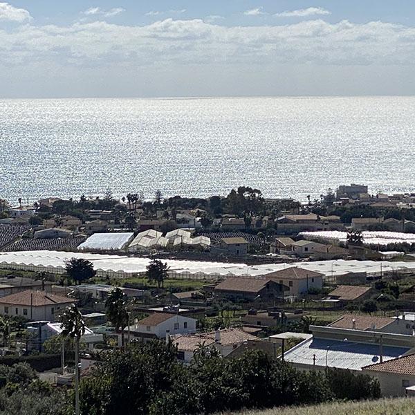 高級トマトソース パスタソース ゴールデンイエロー 190g イタリア シチリア 小林もりみセレクト | ブランド登録なし | 08