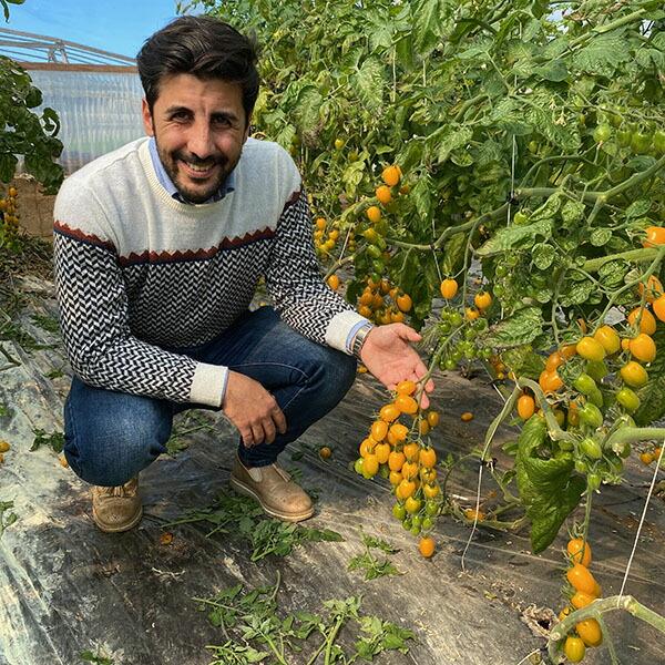 スイートレッドトマトソース パスタソース カラフルミニトマト VB-0003 イタリア シチリア産 ダッテリーニ | ブランド登録なし | 03