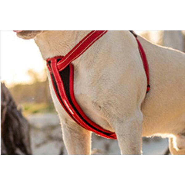 イージードッグ 犬 ハーネス 胴輪 XS 小型犬 EZYDOG カーシート