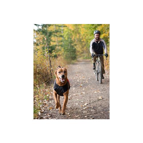 爆買 イージードッグ 犬 エレメントジャケット Mサイズ 中型犬 EZYDOG おしゃれ 丈夫 軽い 防風 防水 防寒 アウトドア あすつく対応 正規品 |  | 10