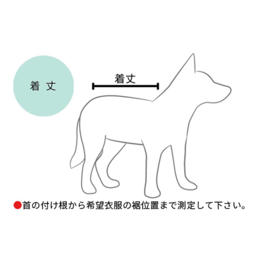 爆買 イージードッグ 犬 エレメントジャケット Mサイズ 中型犬 EZYDOG おしゃれ 丈夫 軽い 防風 防水 防寒 アウトドア あすつく対応 正規品 |  | 12