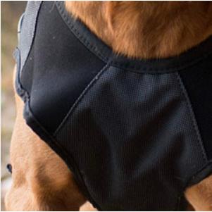 爆買 イージードッグ 犬 エレメントジャケット Mサイズ 中型犬 EZYDOG おしゃれ 丈夫 軽い 防風 防水 防寒 アウトドア あすつく対応 正規品 |  | 02