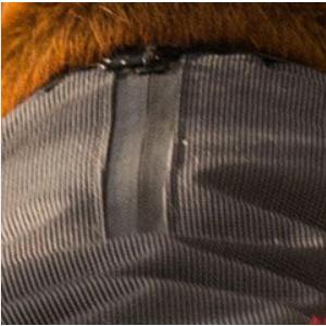 爆買 イージードッグ 犬 エレメントジャケット Mサイズ 中型犬 EZYDOG おしゃれ 丈夫 軽い 防風 防水 防寒 アウトドア あすつく対応 正規品 |  | 03